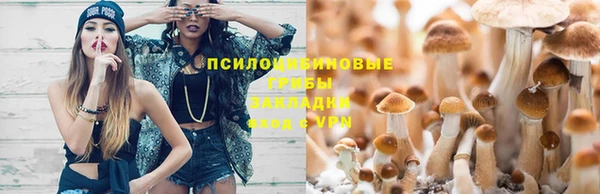 дживик Ладушкин