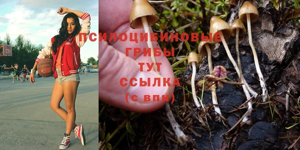 мдма Лагань