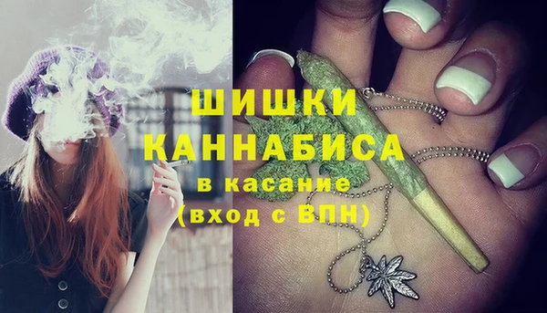 шишки Кулебаки