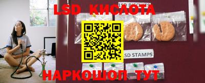 дмт Кандалакша