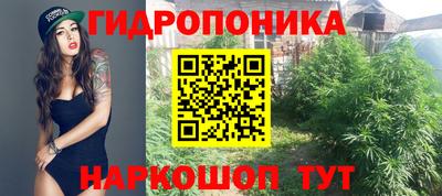 дмт Кандалакша