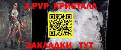 эйфоретик Кимры