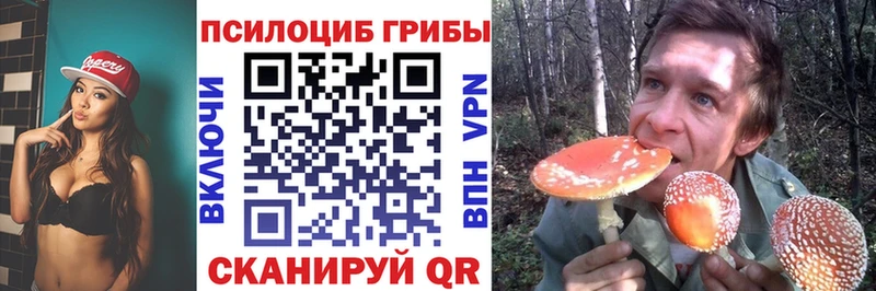Галлюциногенные грибы мицелий  Малгобек 