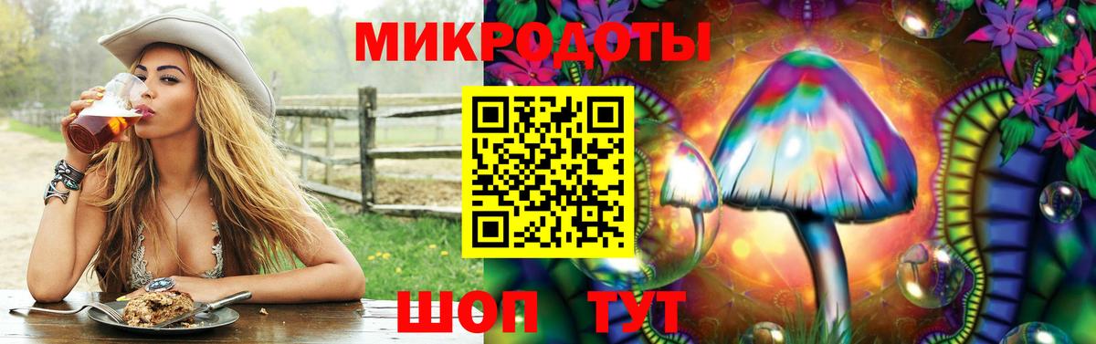 Галлюциногенные грибы Cubensis Малгобек